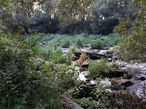 Rundgang an der Zorge