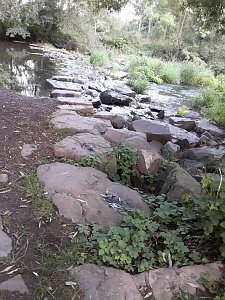 Rundgang an der Zorge