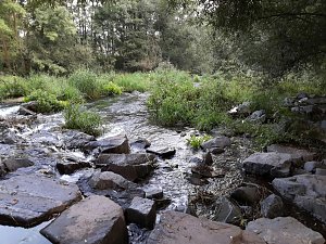 Rundgang an der Zorge