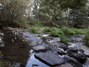 Rundgang an der Zorge