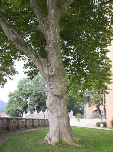 Schloss und Kirche in Sondershausen