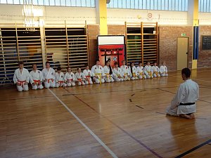 Mehr als nur Karate