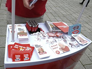 Wahlkampfendspurt bei den Linken