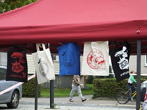 Wahlkampfendspurt bei den Linken