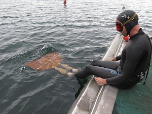 Ausbildungszentrum am Tauchersee eingeweiht
