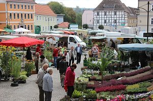 Besuch beim Pflanzenmarkt lohnt