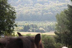 Tag des offenen Denkmals in der Alten Schmiede in Obergebra