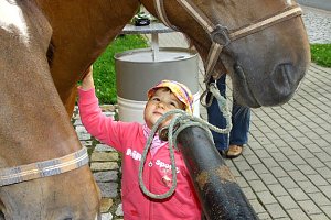 Tag des offenen Denkmals in der Alten Schmiede in Obergebra