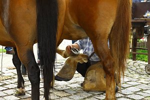 Tag des offenen Denkmals in der Alten Schmiede in Obergebra