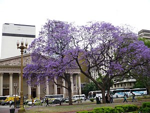 Buenos Aires