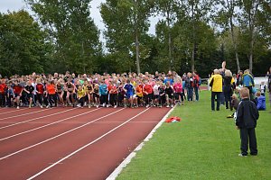 Vereinssportfest