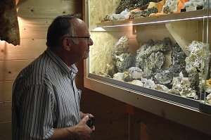Winfried Wilhelm aus�M&uuml;nchenlohra�betrachtet aufmerksam die Mineralien- und Fossiliensammlung.