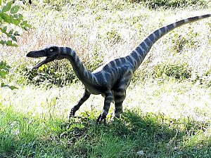 Dinosaurier auf R&uuml;gen