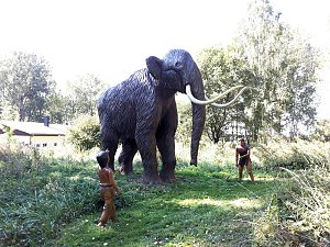 Dinosaurier auf R&uuml;gen