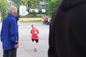 Herbst-Crosslauf im Gehege