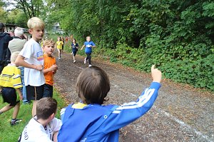 Herbst-Crosslauf im Gehege