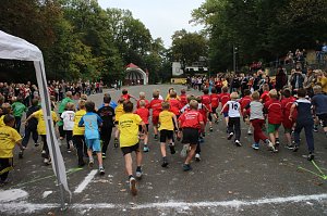 Herbst-Crosslauf im Gehege