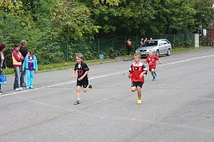 Herbst-Crosslauf im Gehege
