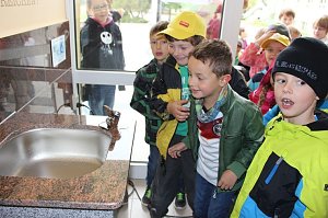Ein Trinkbrunnen f&uuml;r die Grundschule