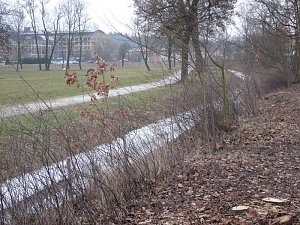 Baumf&auml;llen am Parkteich