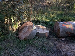 Spuren hinterlassen