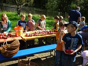 Apfelernte in Harzrigi