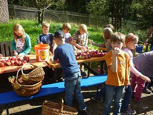 Apfelernte in Harzrigi