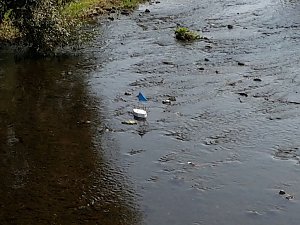 In der Zorge entdeckt