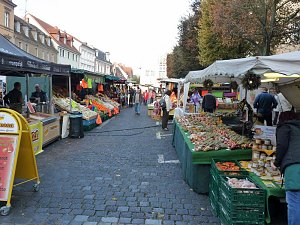 Zwiebeln &uuml;ber Zwiebeln
