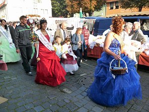 Zwiebeln &uuml;ber Zwiebeln