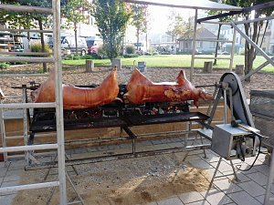 Zwiebeln &uuml;ber Zwiebeln
