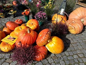 Der etwas andere Markt
