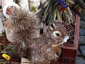 Der etwas andere Markt