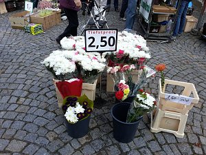 Der etwas andere Markt