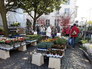 K&uuml;rbisse und Zwiebeln