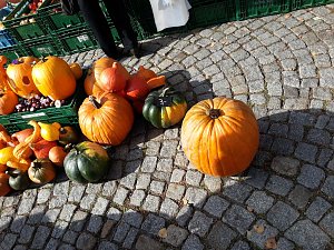 K&uuml;rbisse und Zwiebeln