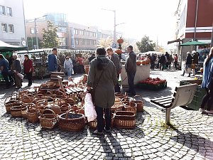 K&uuml;rbisse und Zwiebeln