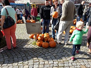 K&uuml;rbisse und Zwiebeln