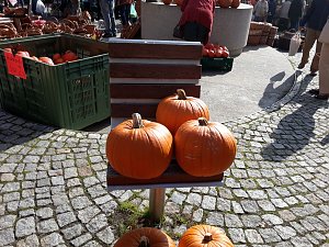 K&uuml;rbisse und Zwiebeln