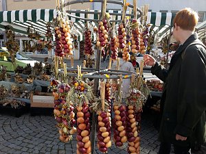 K&uuml;rbisse und Zwiebeln