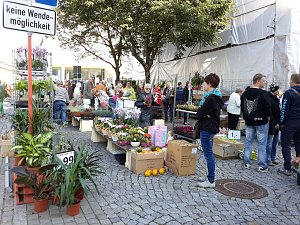 K&uuml;rbisse und Zwiebeln