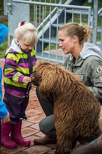 Therapiehunde unterwegs