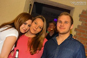 Party 