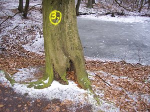 Am Ententeich im Kyffh&auml;userwald