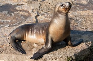 Besuch im Zoo am Meer