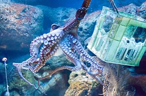 Besuch im Zoo am Meer