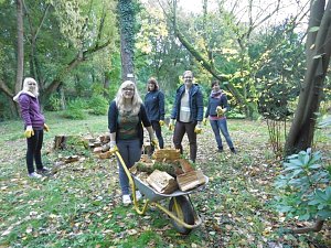 Studierende beim Arbeitseinsatz im Park Hohenrode