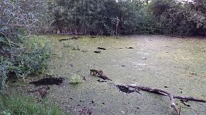 Rund um die Salza-Quelle
