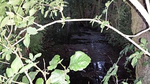 Rund um die Salza-Quelle