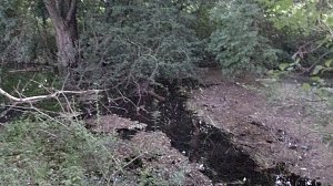 Rund um die Salza-Quelle